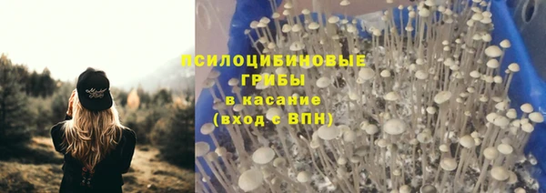 PSILOCYBIN Богданович