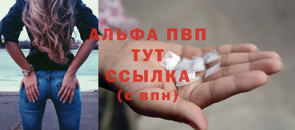 PSILOCYBIN Богданович