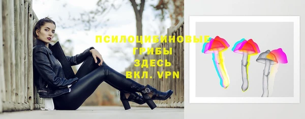 герыч Богородск