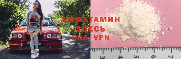 индика Белоозёрский