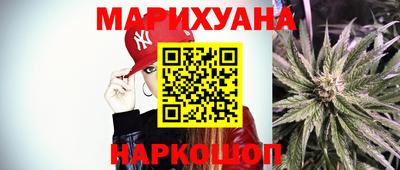 гидра Будённовск