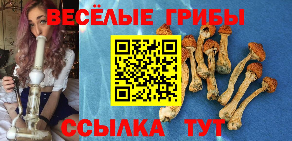 Псилоцибиновые грибы GOLDEN TEACHER  Вход с VPN  Бугульма 