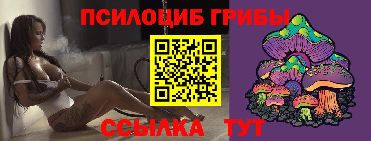 Псилоцибиновые грибы MAGIC MUSHROOMS Бугульма